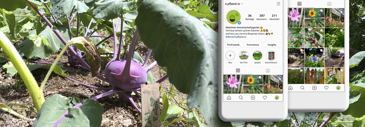 tmschwegler Instagram